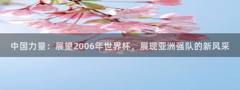 2026年世界杯:中國力量:展望2006年世界杯,展現亞洲強隊的新風采