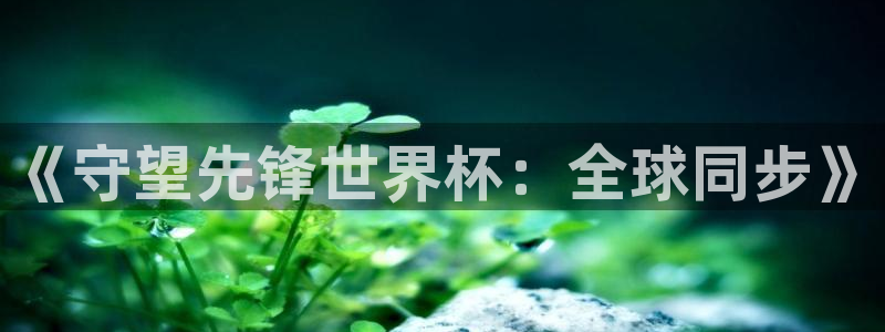 世界杯足球2026:《守望先鋒世界杯:全球同步》