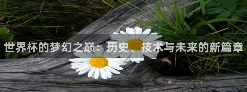 世界杯歐洲區(qū)預(yù)選賽：世界杯的夢(mèng)幻之巔：歷史、技術(shù)與未來的新篇章