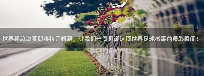 2026 世界杯：世界杯總決賽即將拉開帷幕，讓我們一同見證這項世界足球盛事的精彩瞬間！