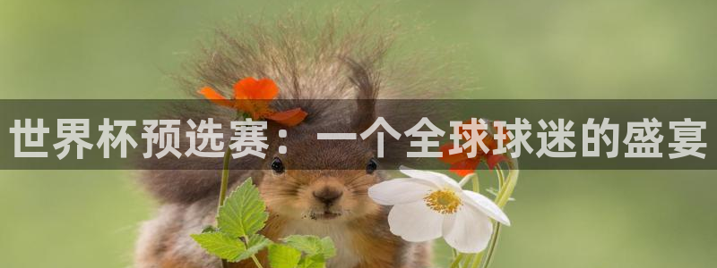 世俱杯直播：世界杯預(yù)選賽：一個(gè)全球球迷的盛宴