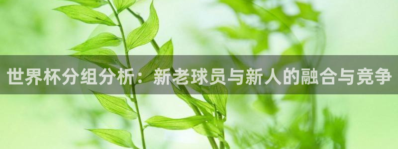 女足世界杯賽程:世界杯分組分析:新老球員與新人的融合與競爭