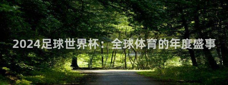 世界杯比賽時間:2024足球世界杯:全球體育的年度盛事